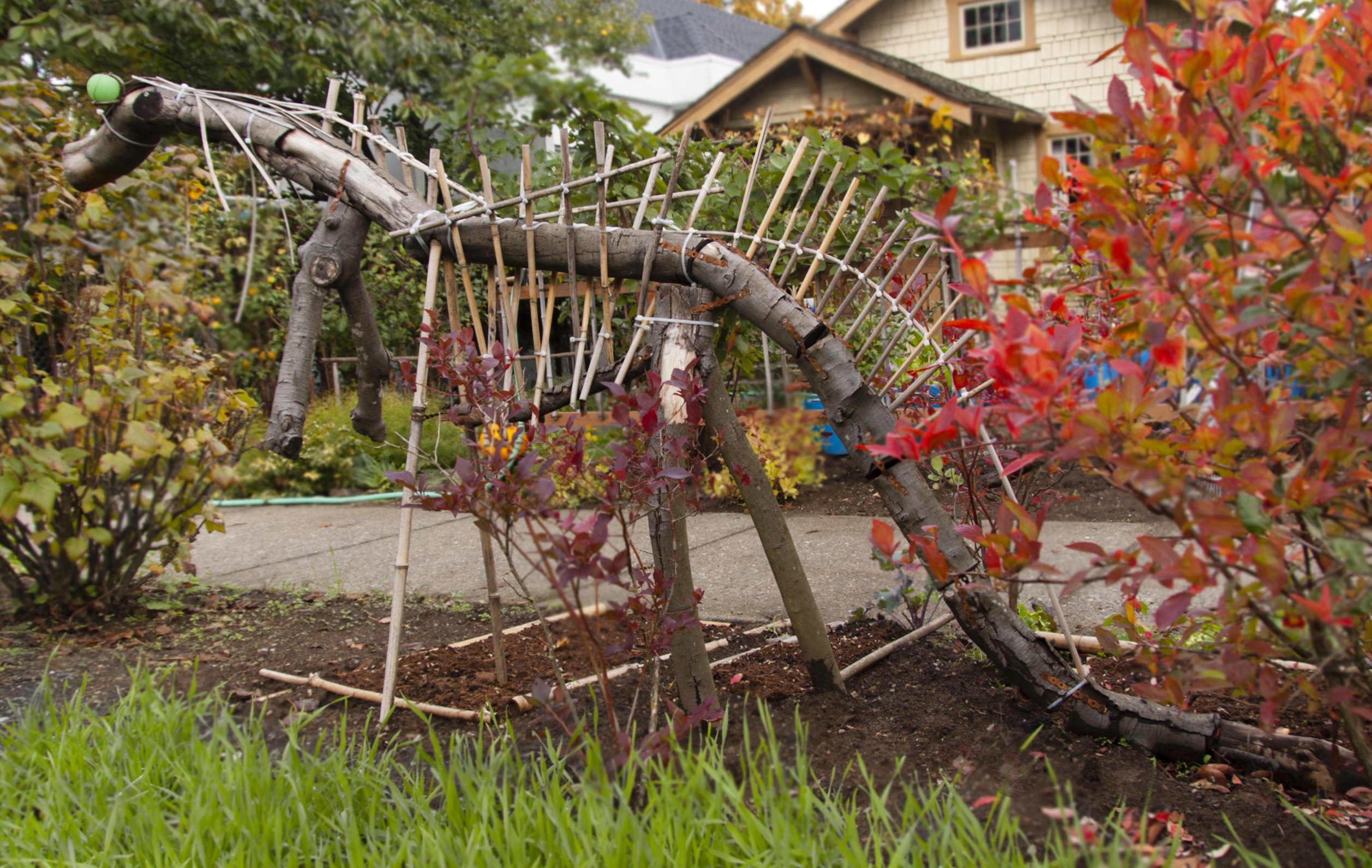 A painting by the artist James Foort called: Kangasaurus Rex