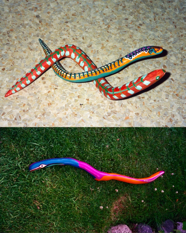 A painting by the artist James Foort called: Snakes From Driftwood